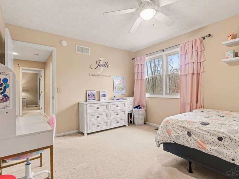 3541 Green Haven Way, Deerfield Twp., OH 45039 Photo 27