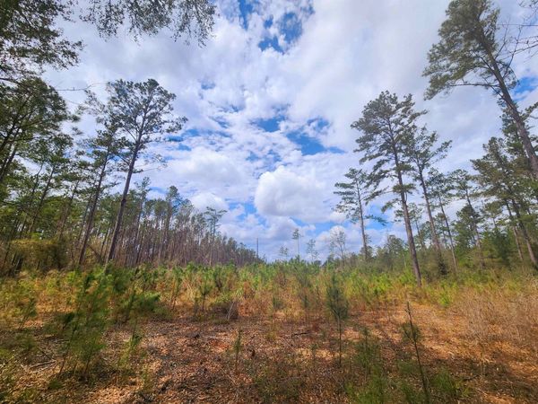 Lot 56 SW Paradise Way , Greenville, FL 32331