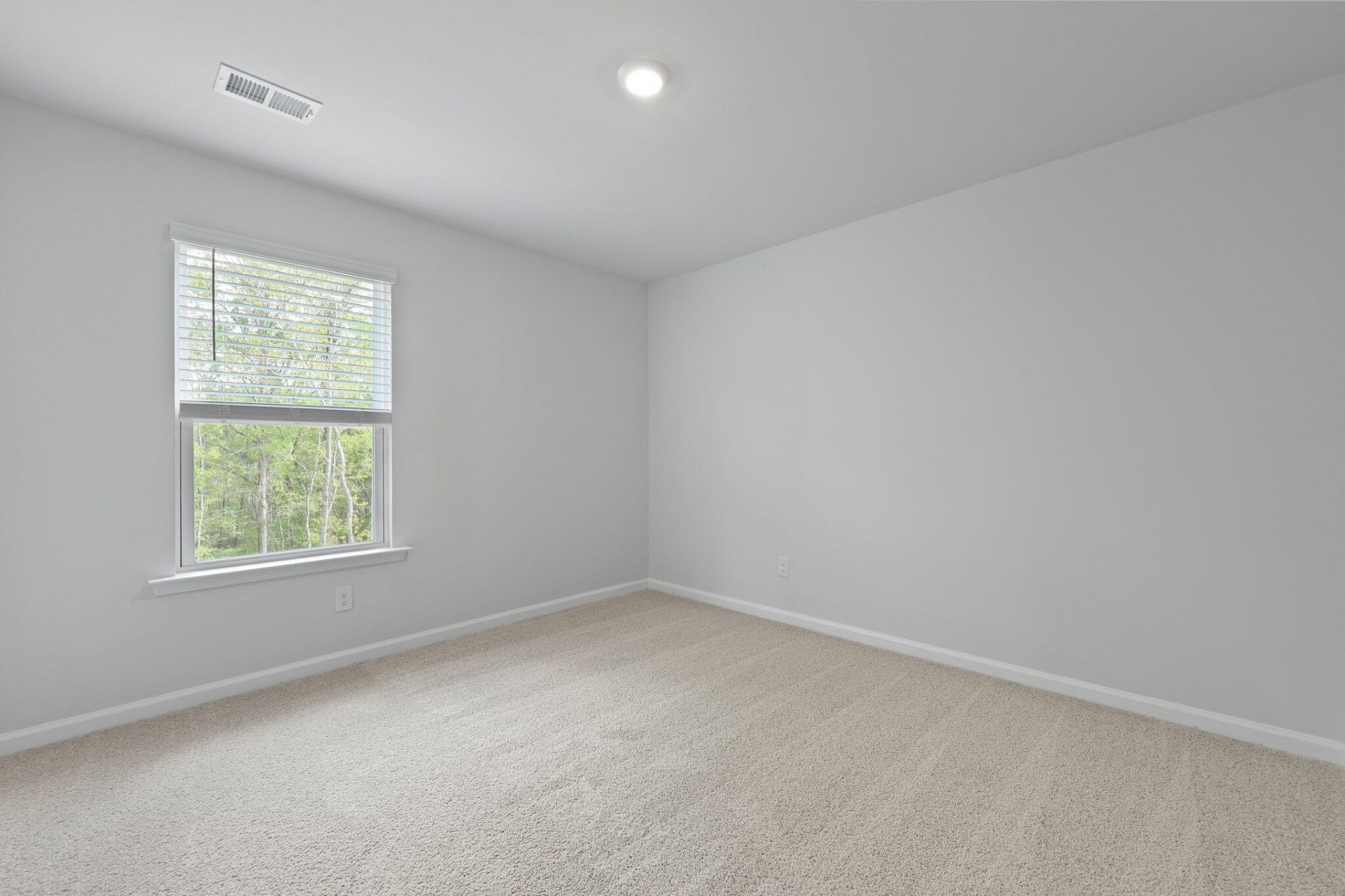 153 Cantley Way Photo 29