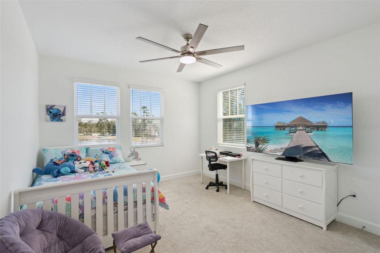 7573 Estuary Lake Loop, Celebration, FL 34747 Photo