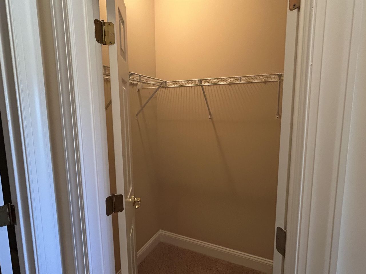 1008 Ray Costin Way Photo 23