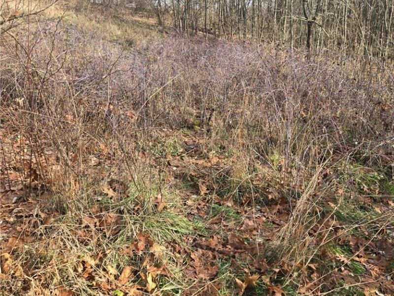 9284 Briar Road, Magnolia, OH 44643 Photo 2