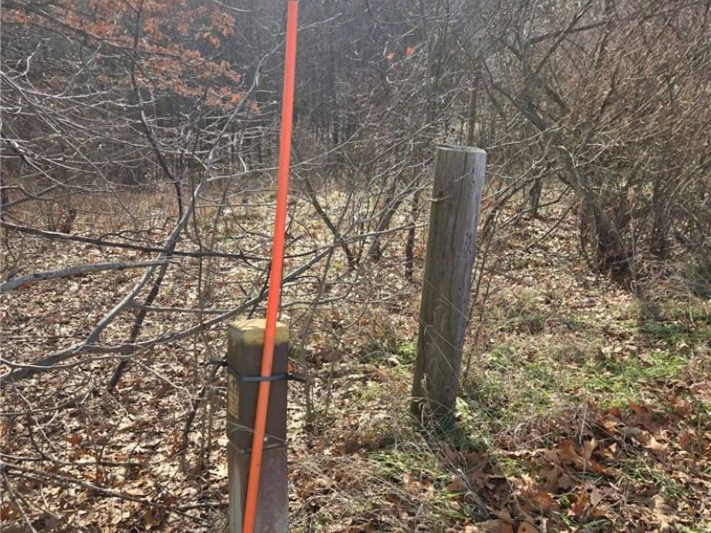 9284 Briar Road, Magnolia, OH 44643 Photo 3