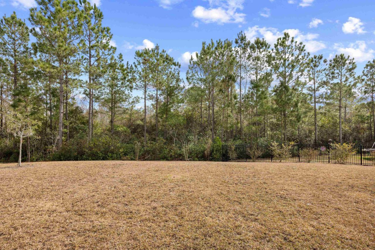 1325 Bermuda Grass Dr. Photo 35