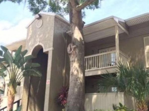 305 WYMORE ROAD, Unit 110, ALTAMONTE SPRINGS, FL 32714