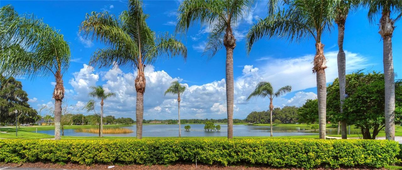 2963 Hickory Grove Drive, Valrico, FL 33596 Photo
