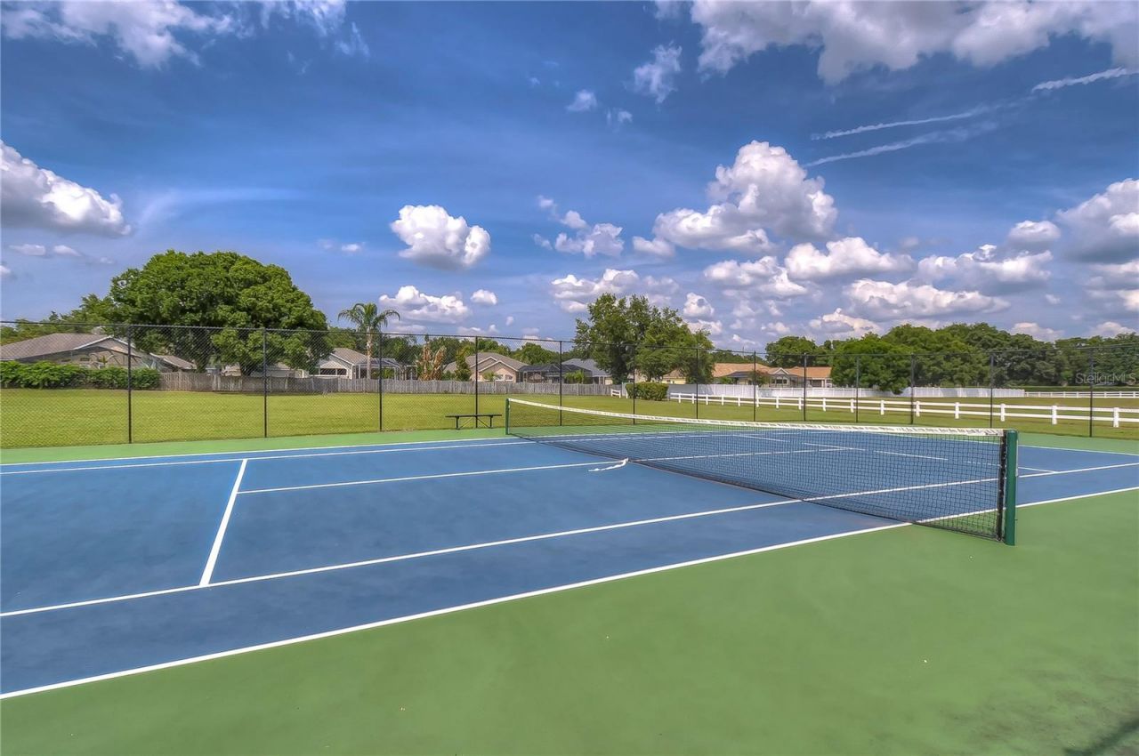 2963 Hickory Grove Drive, Valrico, FL 33596 Photo