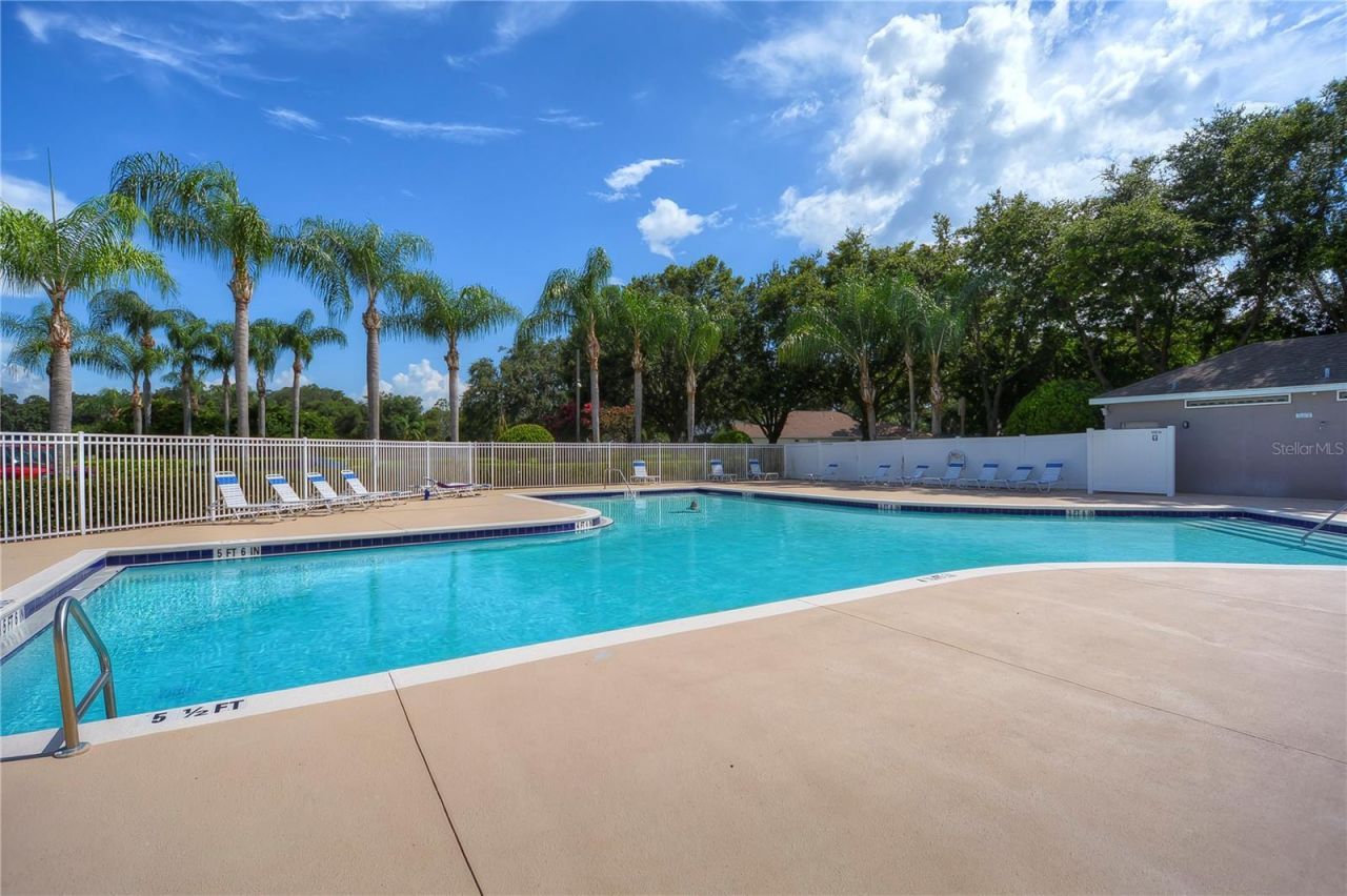 2963 Hickory Grove Drive, Valrico, FL 33596 Photo