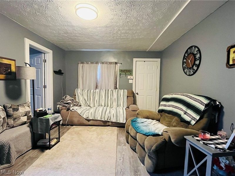 161 West Street, Geneva, OH 44041 Photo 12