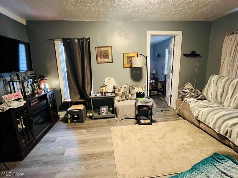 161 West Street, Geneva, OH 44041 Photo 14