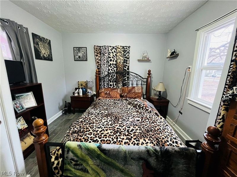 161 West Street, Geneva, OH 44041 Photo 15