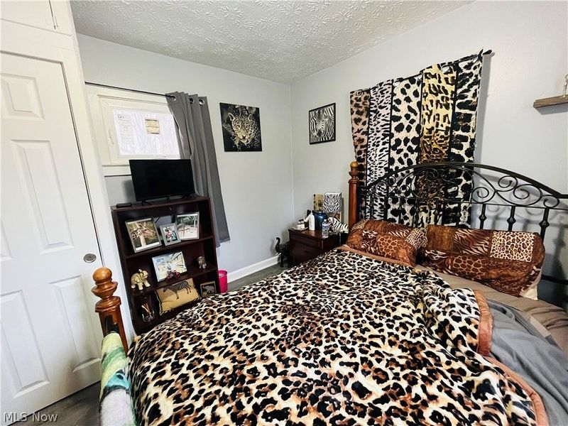 161 West Street, Geneva, OH 44041 Photo 16