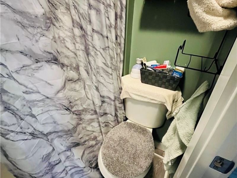 161 West Street, Geneva, OH 44041 Photo 21