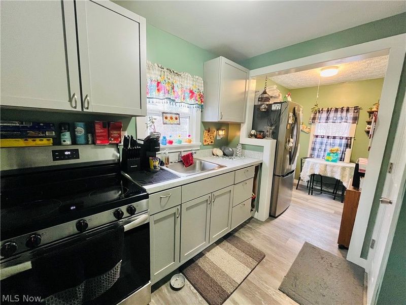 161 West Street, Geneva, OH 44041 Photo 4