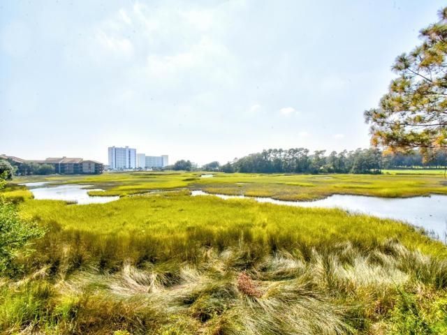 223 Maison Dr.  Photo 39