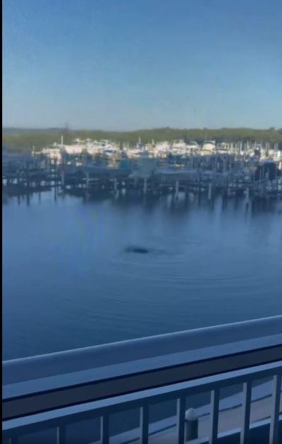 5167 N Highway A1a, Unit 201, Fort Pierce, FL 34949 Photo