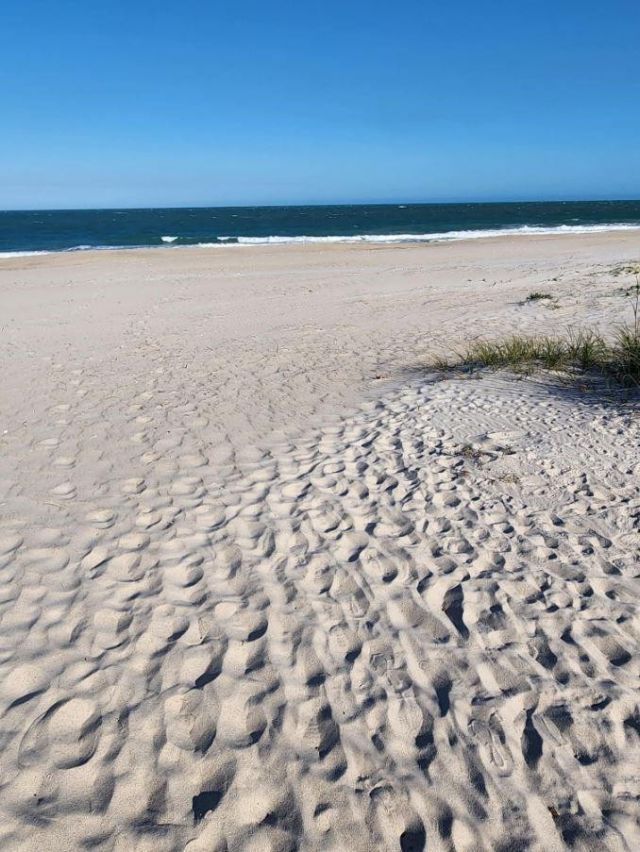 5167 N Highway A1a, Unit 201, Fort Pierce, FL 34949 Photo