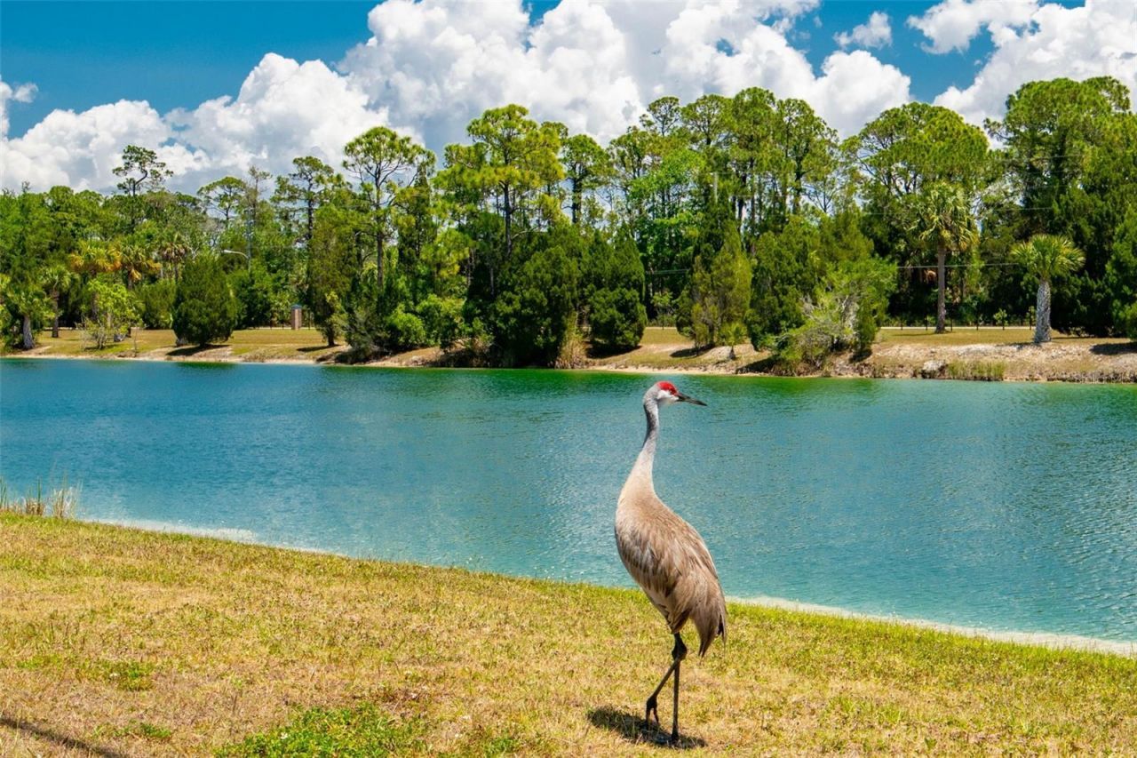 7390 Shoal Line Boulevard , Weeki Wachee, FL 34607 Photo