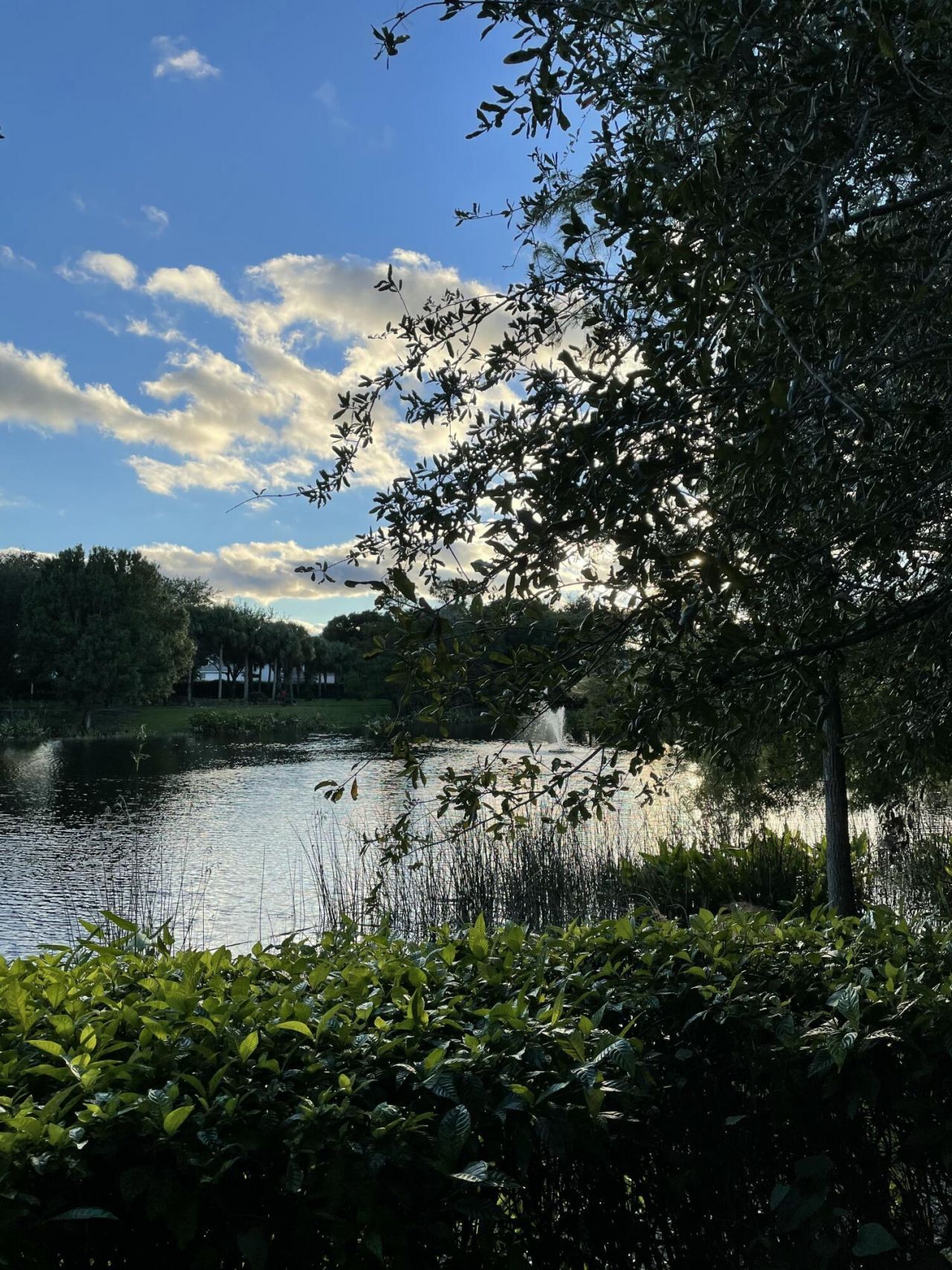 4045 Trovita Boulevard, Boynton Beach, FL 33436 Photo