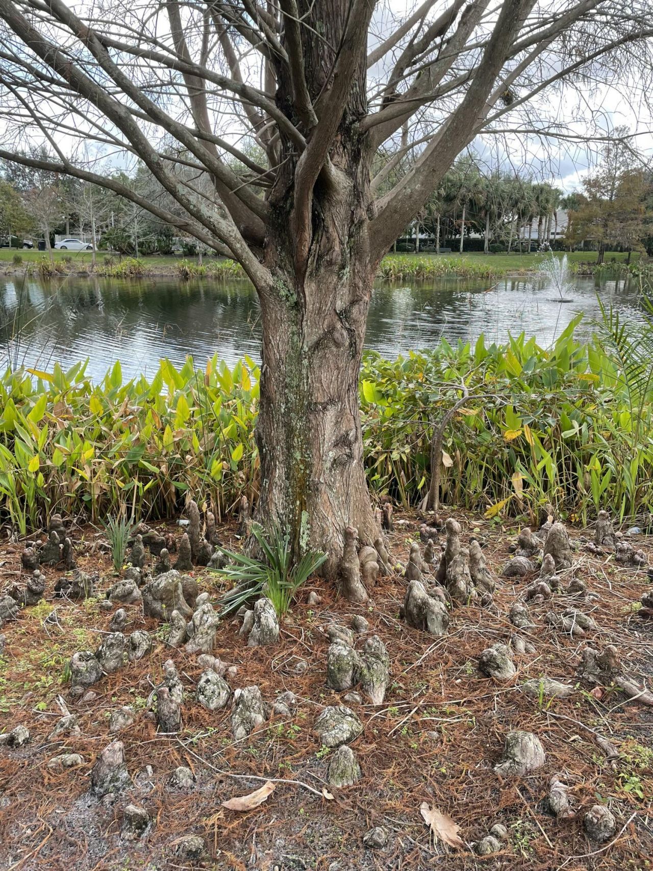 4045 Trovita Boulevard, Boynton Beach, FL 33436 Photo