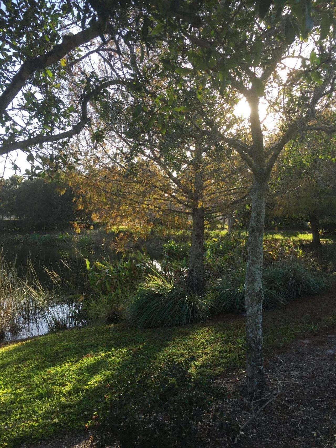 4045 Trovita Boulevard, Boynton Beach, FL 33436 Photo