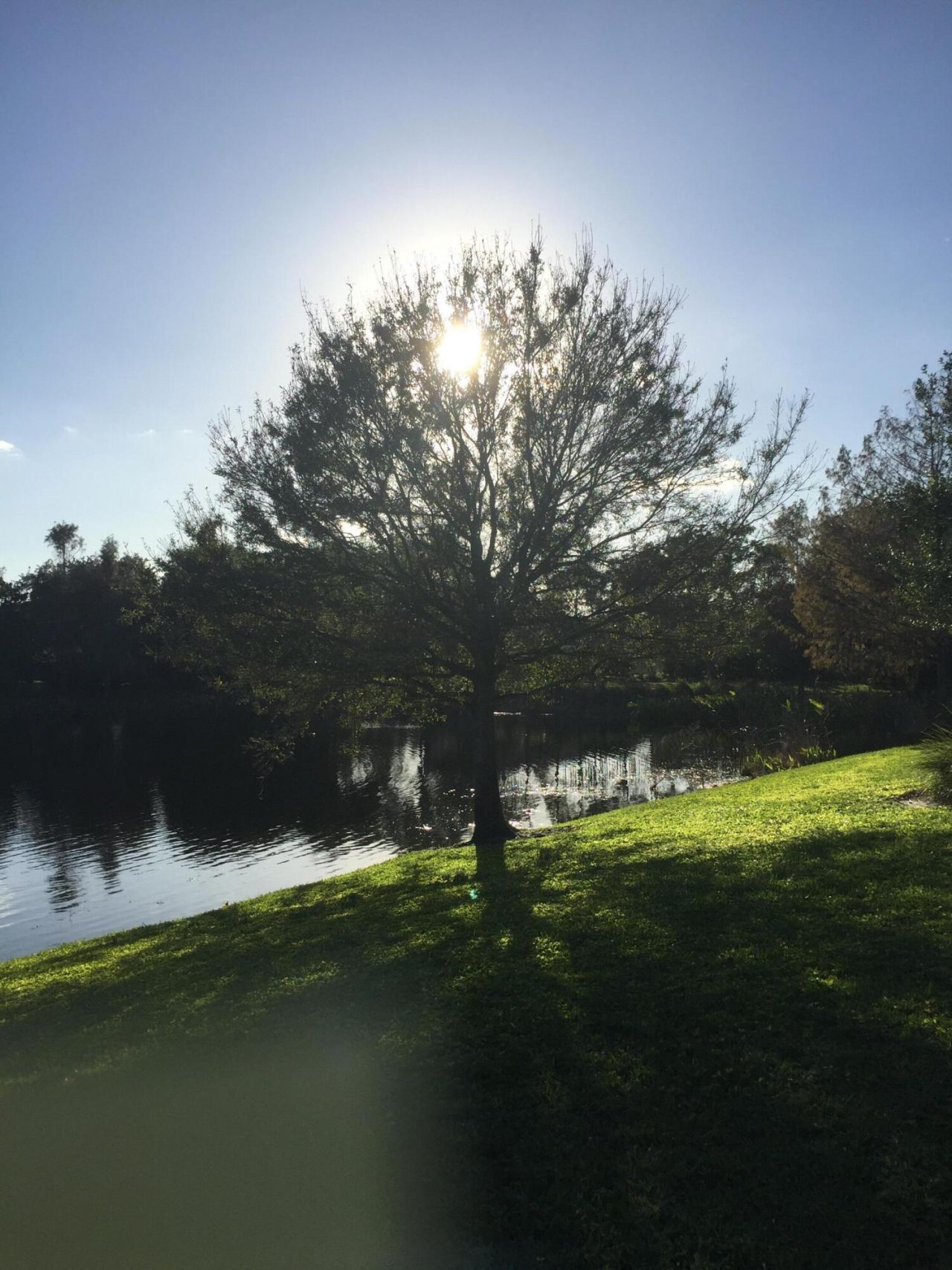 4045 Trovita Boulevard, Boynton Beach, FL 33436 Photo