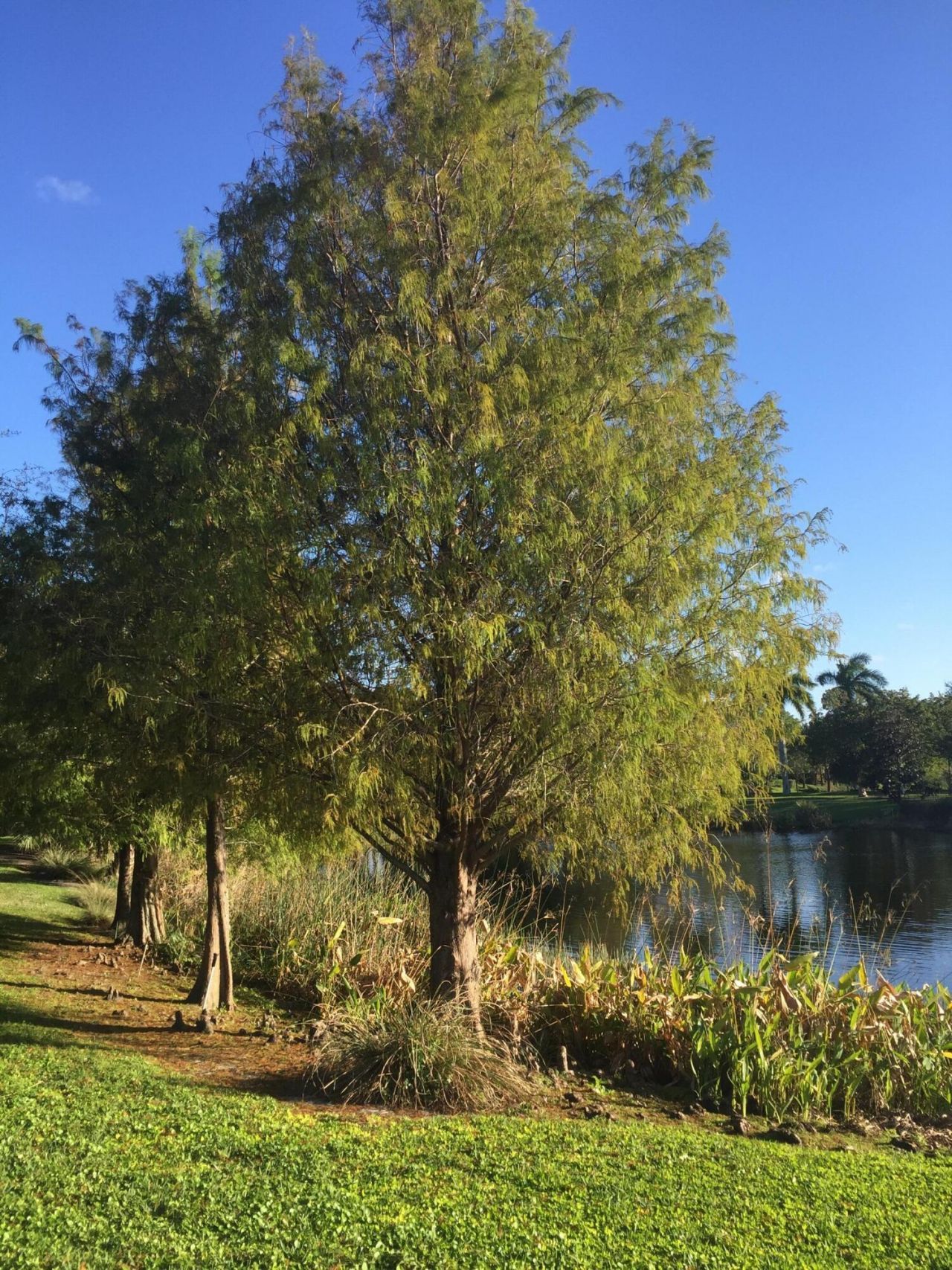 4045 Trovita Boulevard, Boynton Beach, FL 33436 Photo