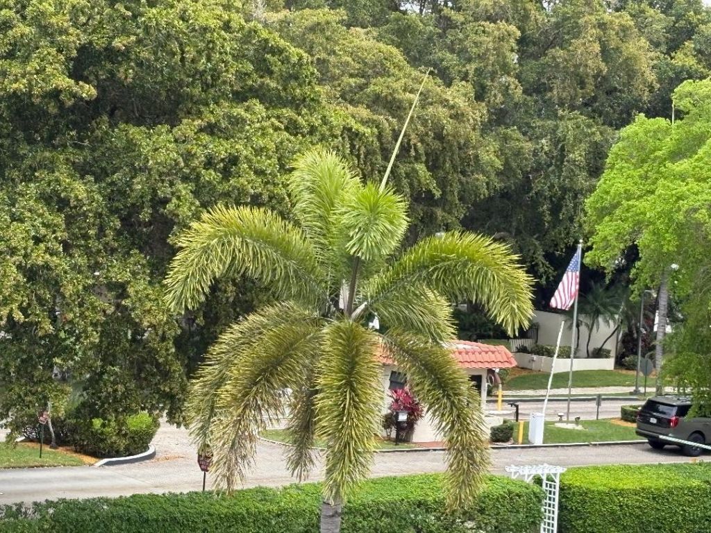 8900 Washington Boulevard, Unit 409, Pembroke Pines, FL 33025 Photo