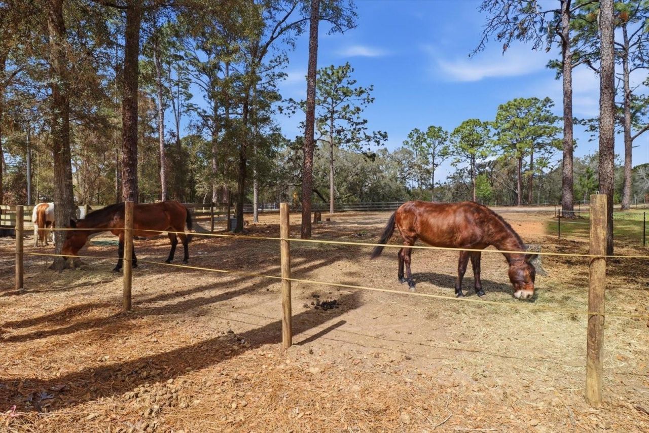 8863 S Evans Avenue, Inverness, FL 34452 Photo