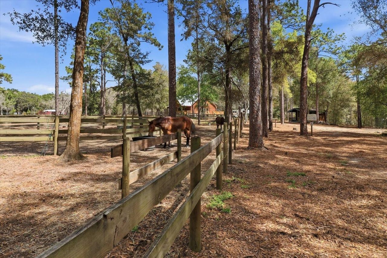 8863 S Evans Avenue, Inverness, FL 34452 Photo