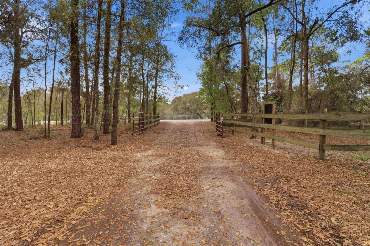 8863 S Evans Avenue, Inverness, FL 34452 Photo