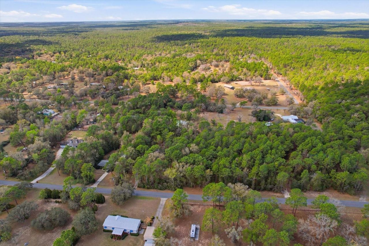 8863 S Evans Avenue, Inverness, FL 34452 Photo