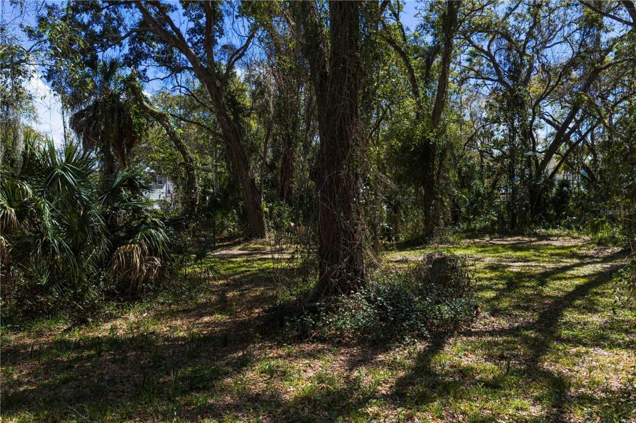 8004 Bay Drive, Tampa, FL 33635 Photo