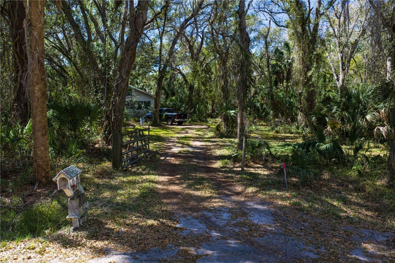 8004 Bay Drive, Tampa, FL 33635 Photo