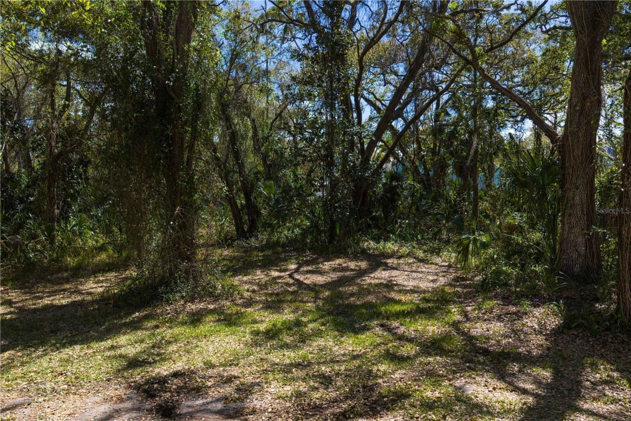 8004 Bay Drive, Tampa, FL 33635 Photo