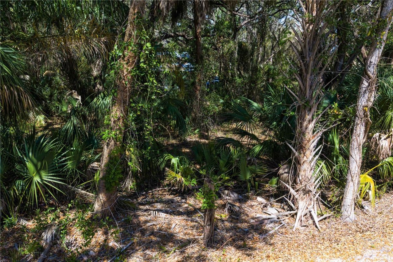 8004 Bay Drive, Tampa, FL 33635 Photo