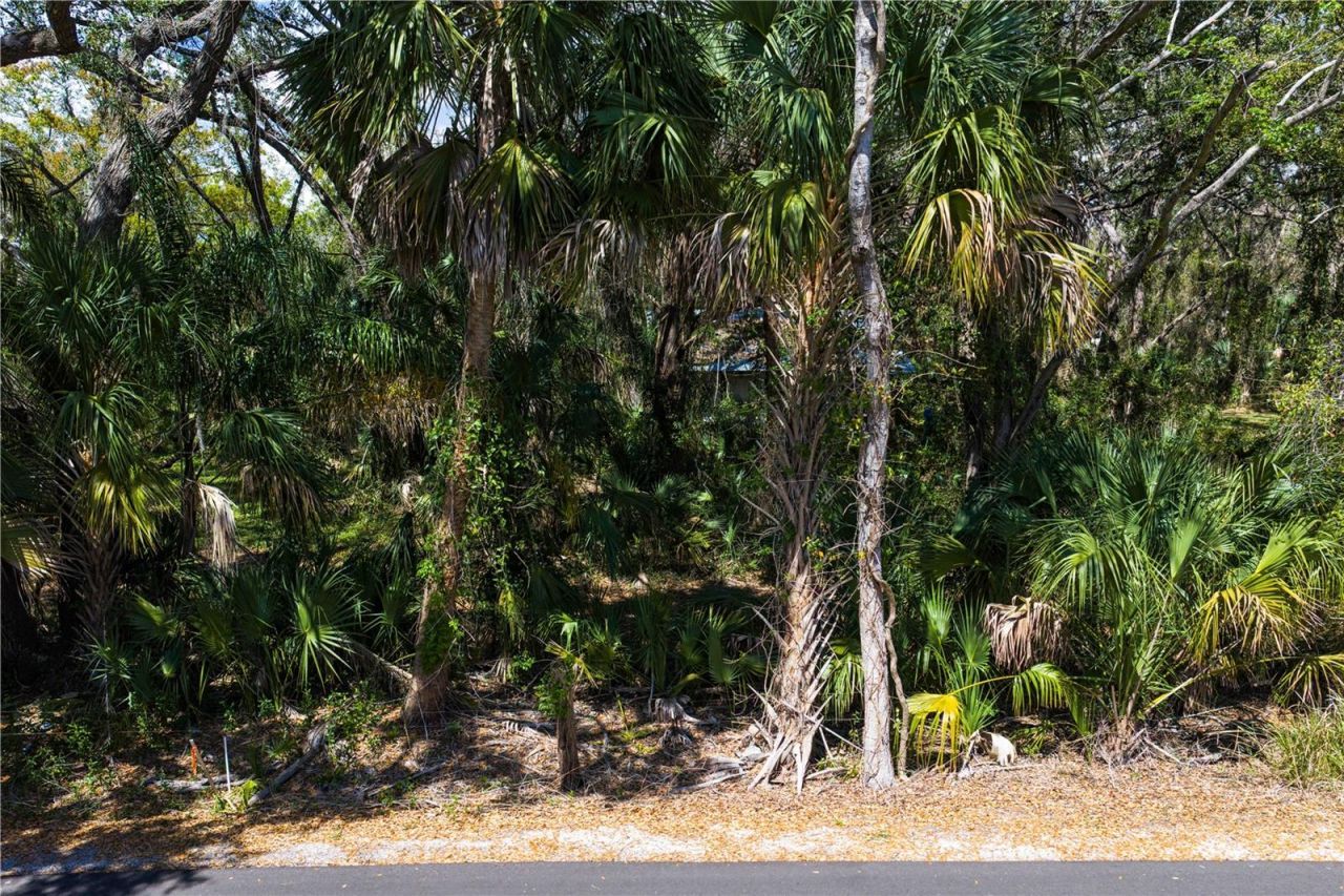 8004 Bay Drive, Tampa, FL 33635 Photo