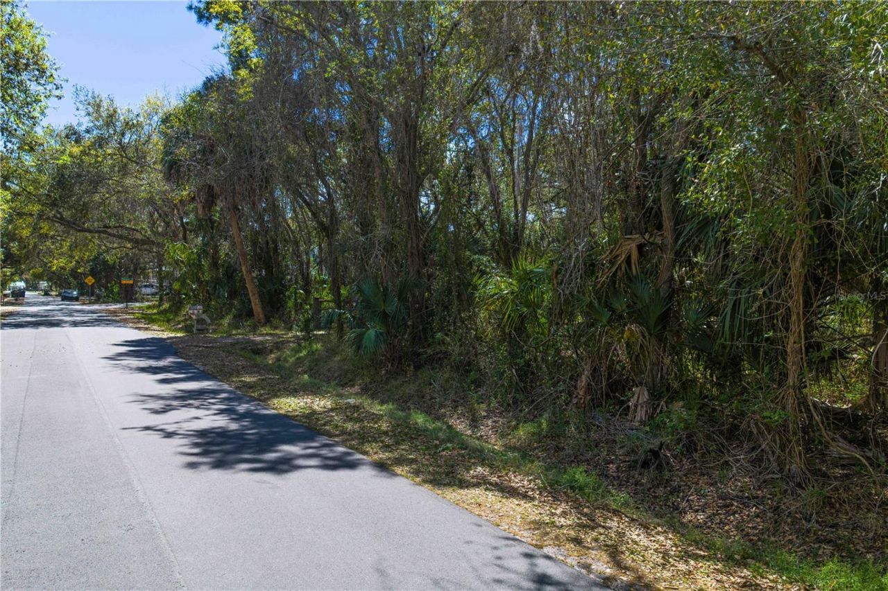 8004 Bay Drive, Tampa, FL 33635 Photo