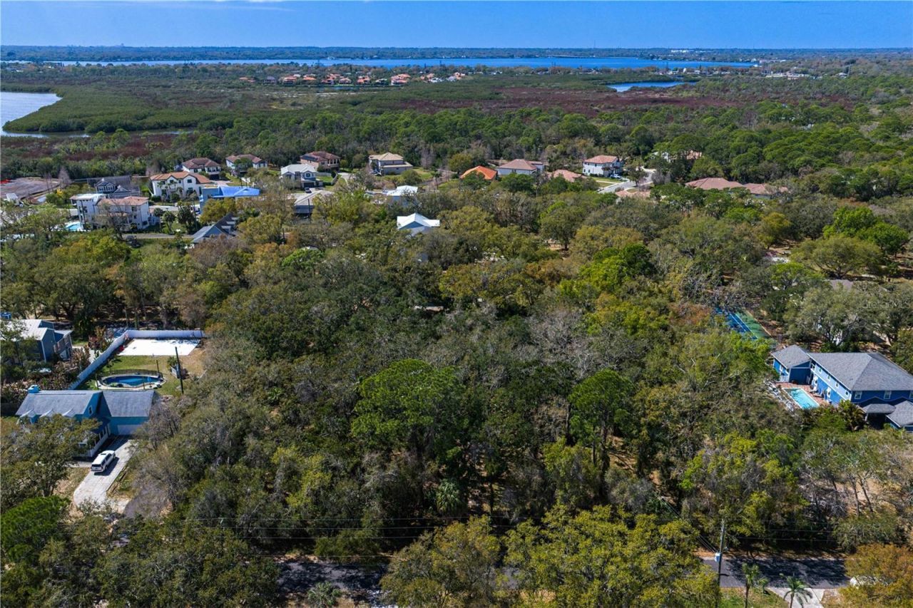 8004 Bay Drive, Tampa, FL 33635 Photo