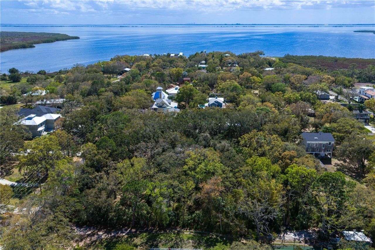 8004 Bay Drive, Tampa, FL 33635 Photo