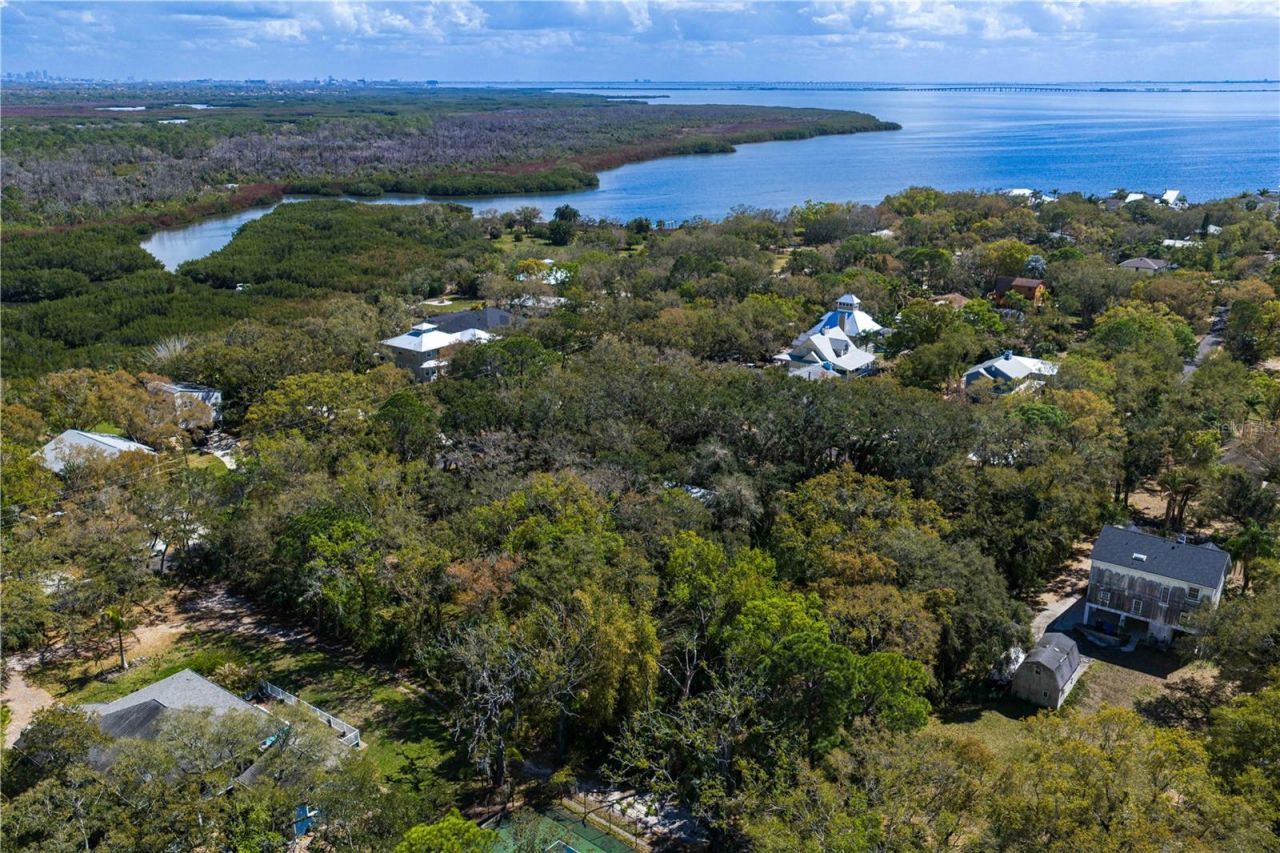 8004 Bay Drive, Tampa, FL 33635 Photo