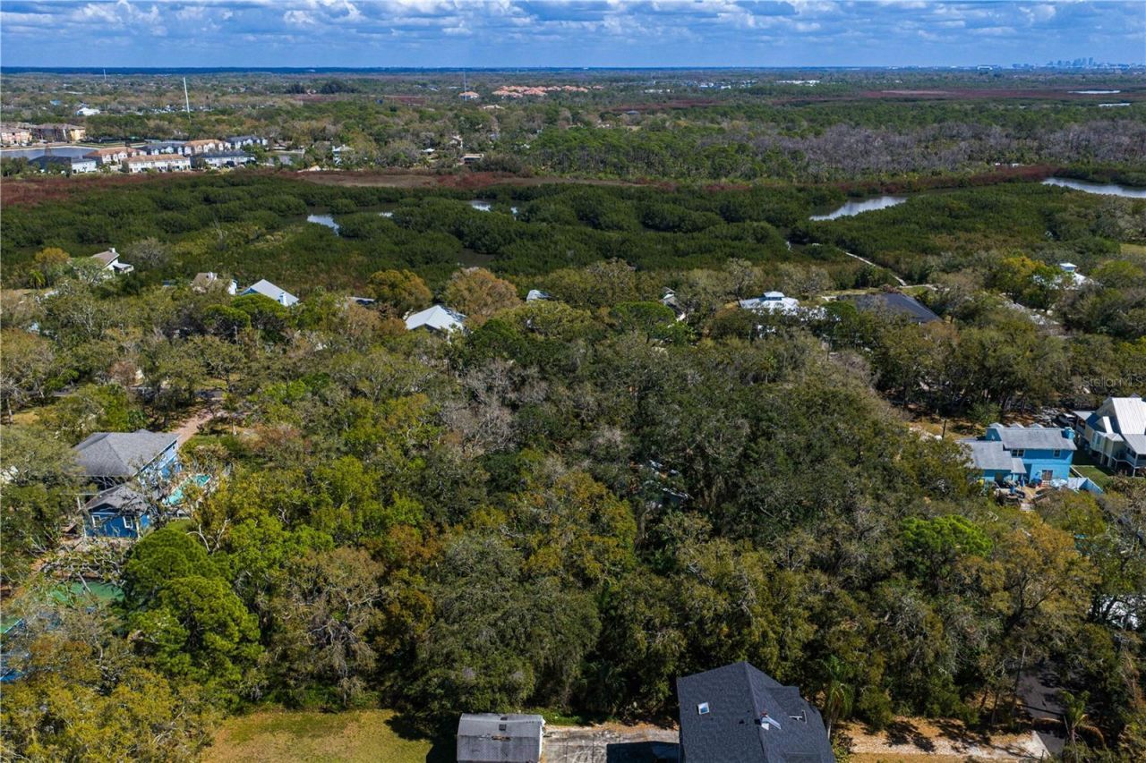 8004 Bay Drive, Tampa, FL 33635 Photo