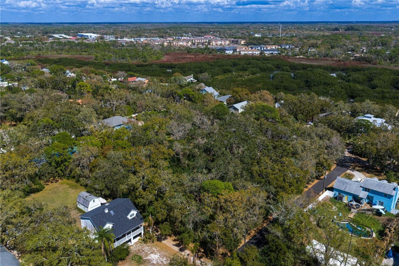 8004 Bay Drive, Tampa, FL 33635 Photo