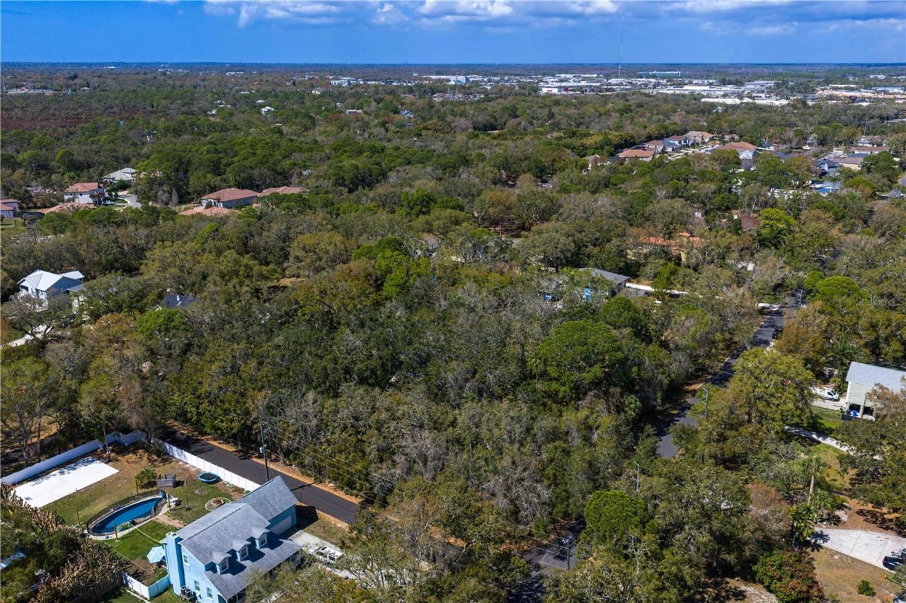 8004 Bay Drive, Tampa, FL 33635 Photo