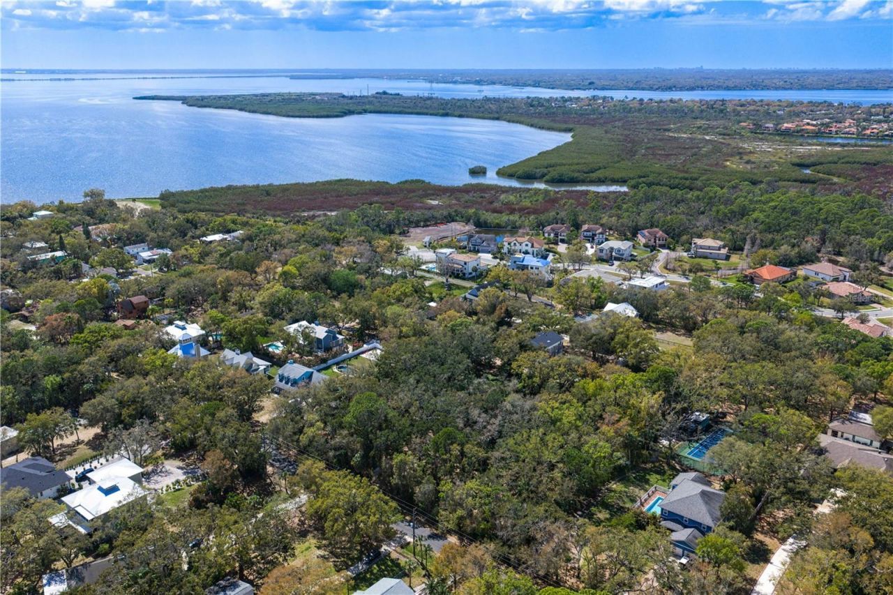 8004 Bay Drive, Tampa, FL 33635 Photo