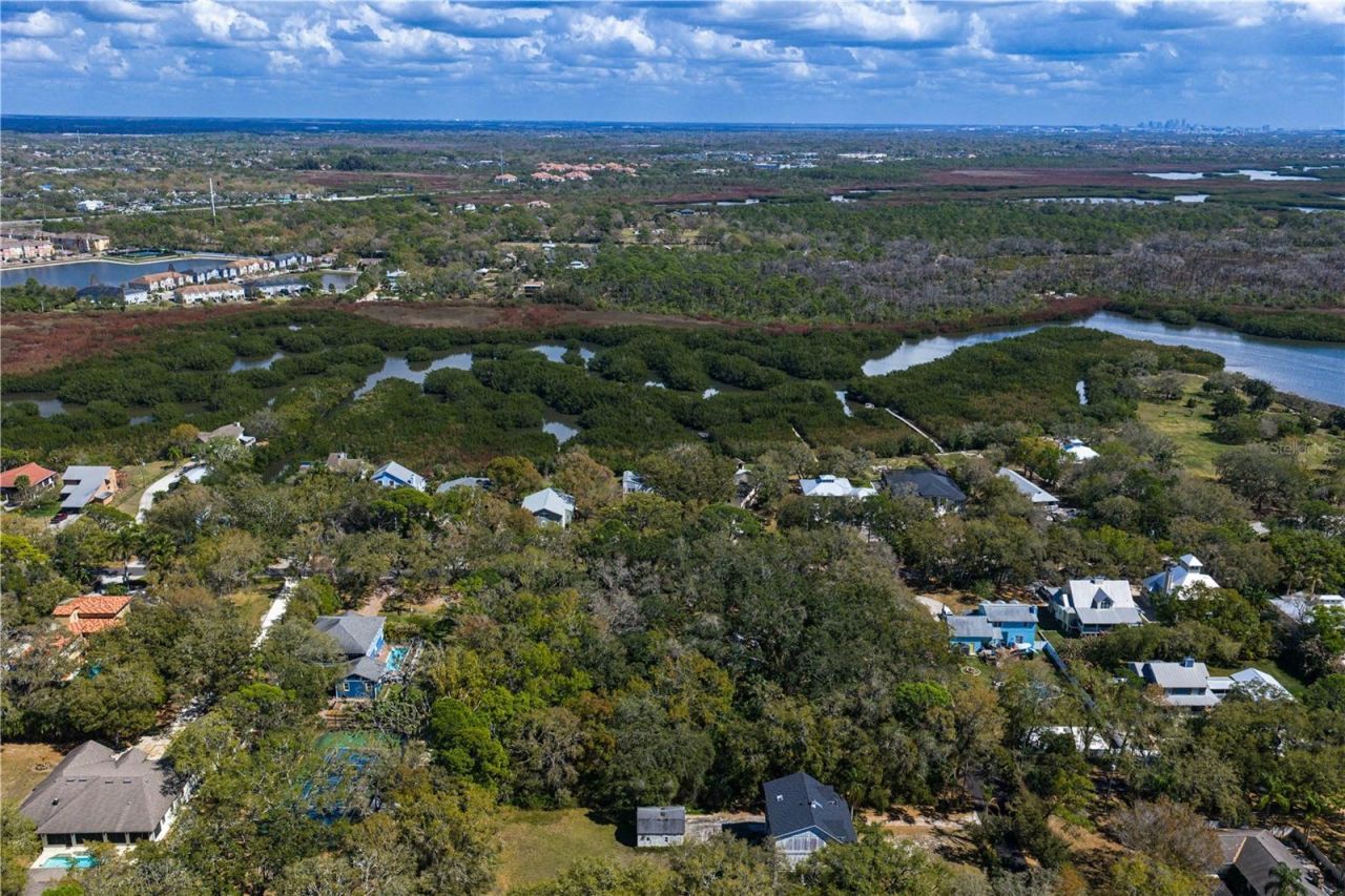 8004 Bay Drive, Tampa, FL 33635 Photo