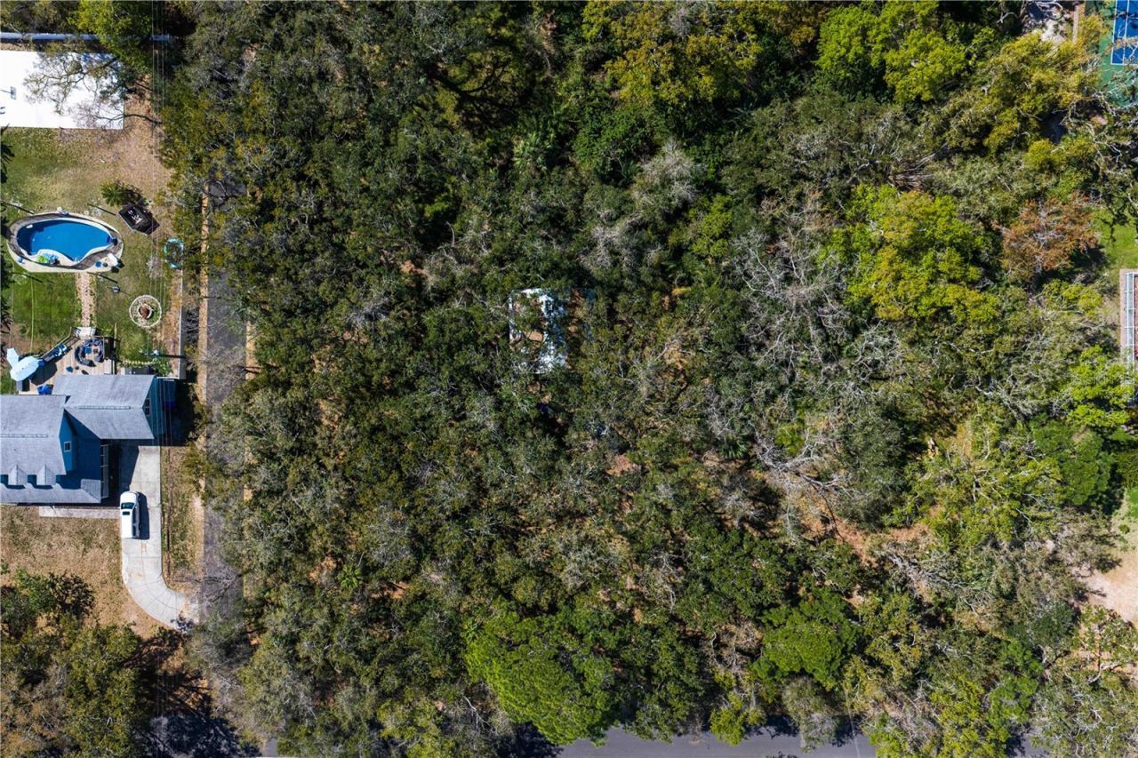 8004 Bay Drive, Tampa, FL 33635 Photo