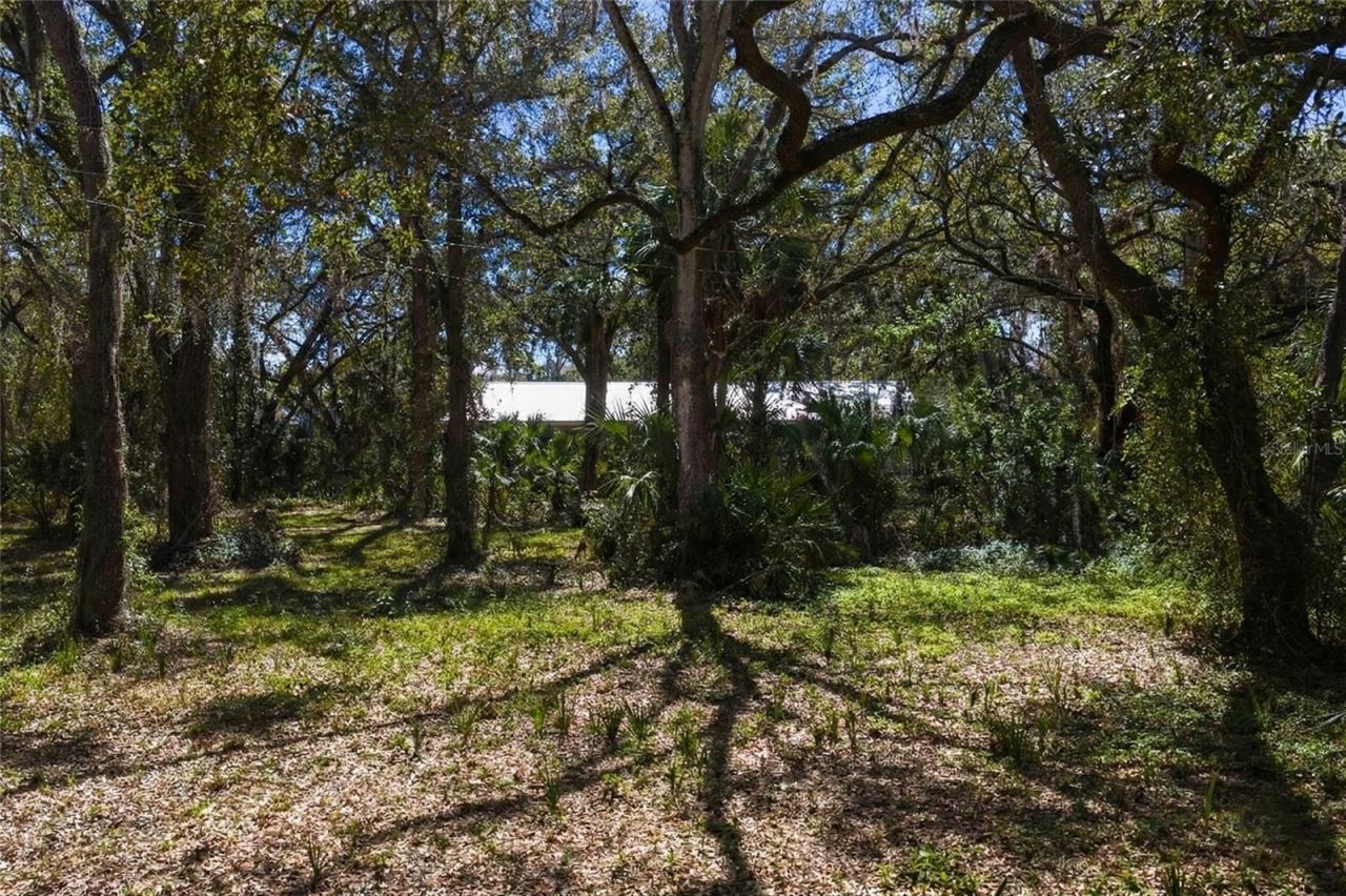 8004 Bay Drive, Tampa, FL 33635 Photo