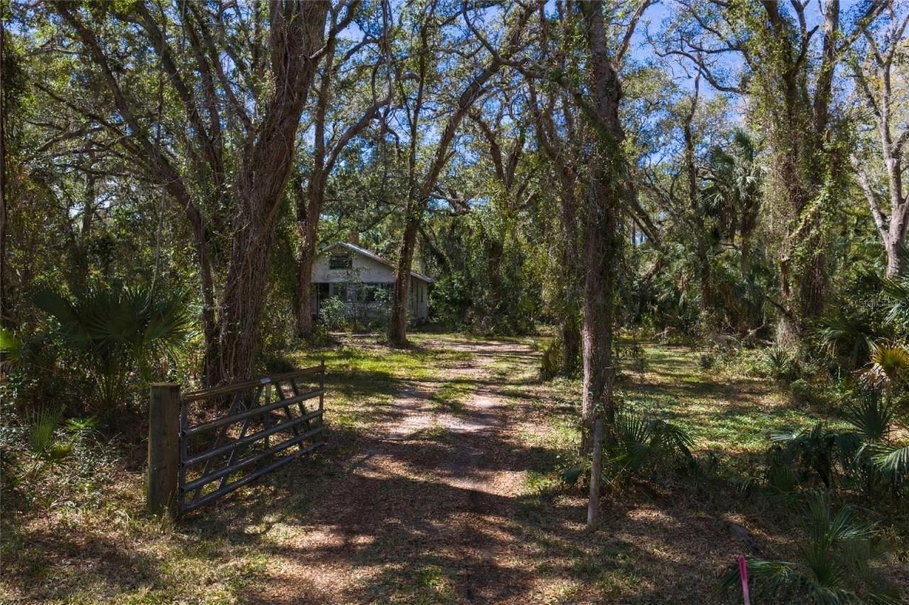 8004 Bay Drive, Tampa, FL 33635 Photo