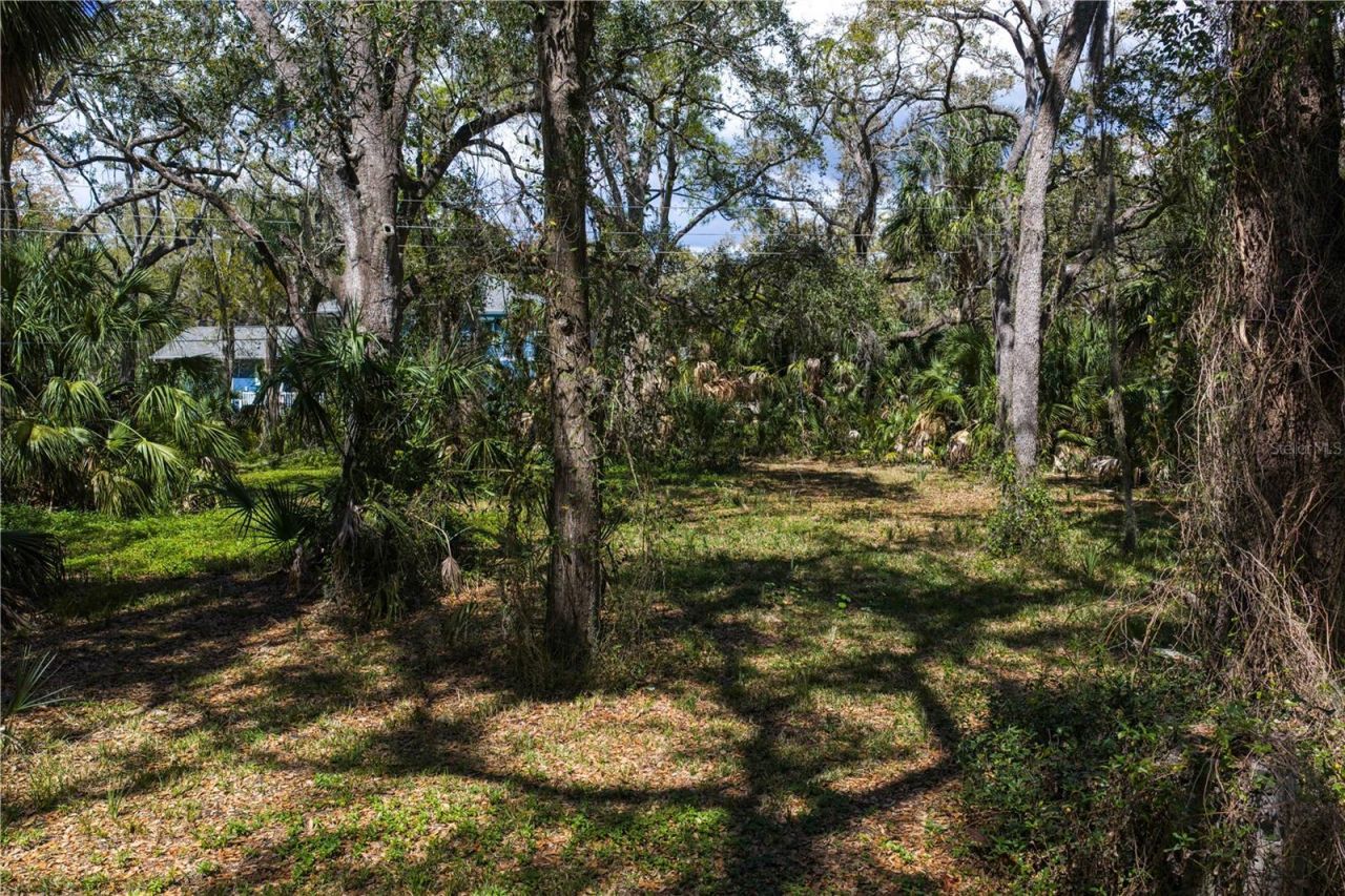 8004 Bay Drive, Tampa, FL 33635 Photo